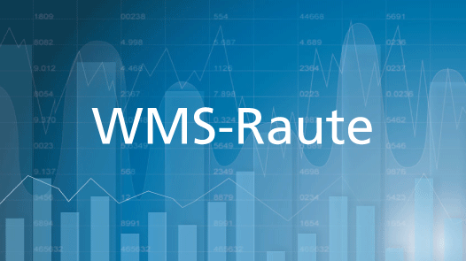 WMS-Raute